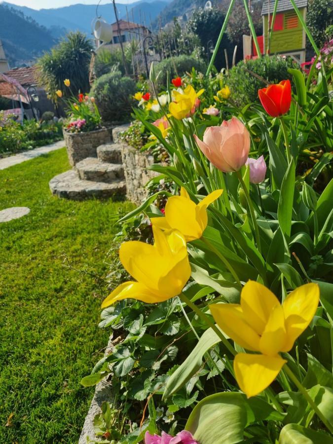 Casa Vacanze Family Albisola Superiore Εξωτερικό φωτογραφία