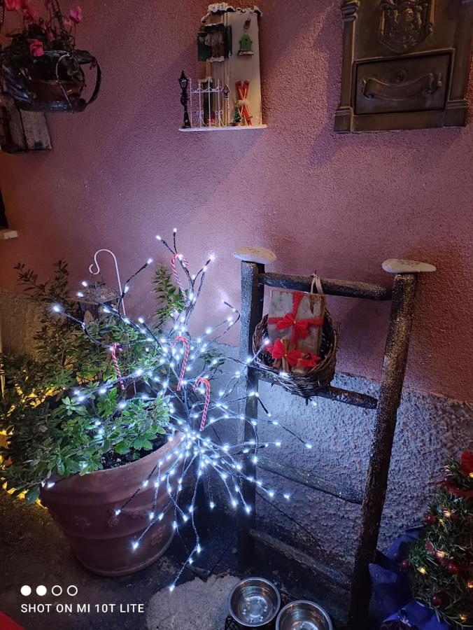 Casa Vacanze Family Albisola Superiore Εξωτερικό φωτογραφία